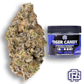Tiger Candy Flower | Eighth Special
