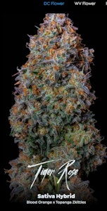 ALTERNATIVE SOLUTIONS - Tiger Rose Bulk Deli Flower