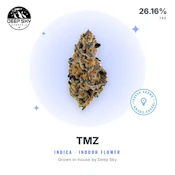 DSC - TMZ