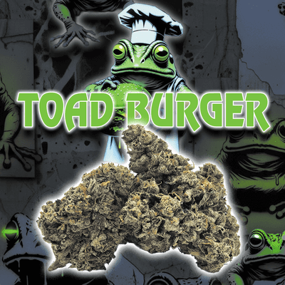 Green Dragon: Toad Burger