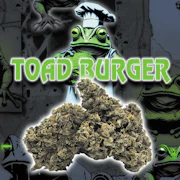 Green Dragon 3.5g Toad Burger
