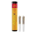 Toast - Toast | Gorilla Punch  2pk [1g] Live Rosin Infused Pre-Roll | Main Image