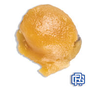 Too Much Papaya Rosin Concentrate | 2g (73μ-159μ Live Hash Rosin)