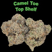Camel Toe -- Ounce