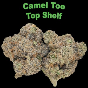 DC Space Club - Camel Toe -- Ounce