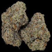 Cookie Cutter -- Ounce