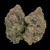 Crypto Mac - Ounce
