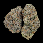 Frozen Custard -- Ounce