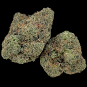 Rainbow Daytona -- Ounce