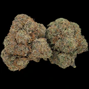 Shirley Temple - Ounce