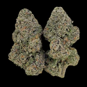 Slimed Out - Ounce