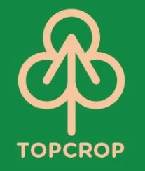 TopCrop - Top Crop - Grape Expectations - 3.5g Main Image