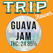 TRIP - GUAVA JAM OUNCE 28 GRAMS