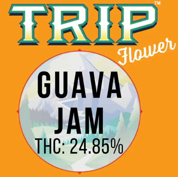 TRIP - TRIP - GUAVA JAM OUNCE 28 GRAMS Main Image