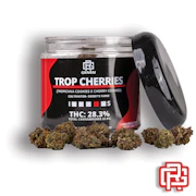 Trop Cherries Flower | Oz Special