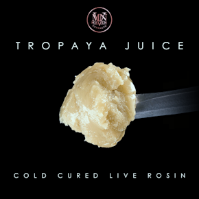 Maven | Live Rosin | Cold Cure | Tropaya Juice | 1g