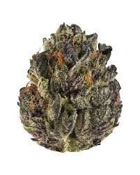 Flo - TROP CAKE 1/2oz Main Image