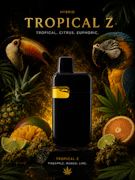 Tropical Z - Turntables Blnds AIO 1g Vape