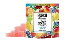 PUNCH - Tropical Punch Full Spectrum Fruit Snacks 100mg