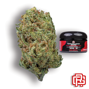 OREGON CANNABIS COLLECTIVE - Tropicana Smash Melonz Flower | Quarter Special