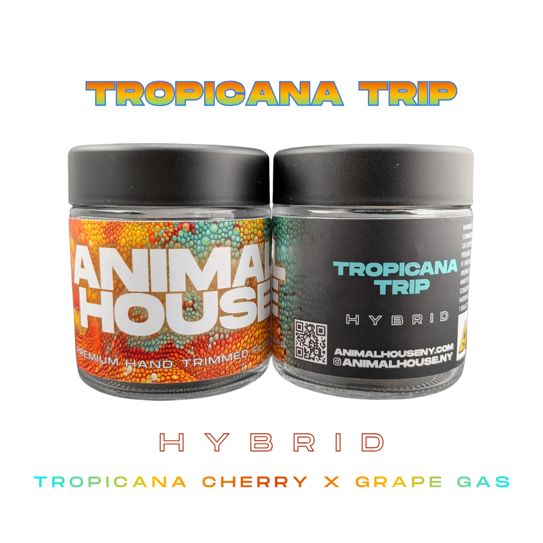 Animal House - Animal House | Tropicana Trip | Indoor | Flower | 3.5g | Hybrid Main Image