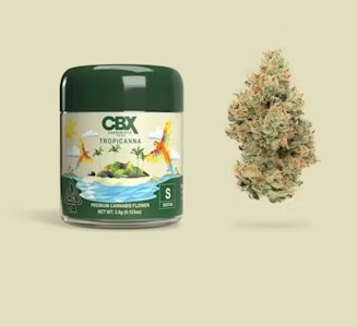 CANNABIOTIX - [Cannabiotix] Flower - 3.5g - Tropicanna (S)