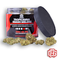 Tropicanna Smash Melonz Flower | Oz Special