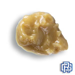 Forte - Tropsicle Rosin Concentrate | 1g (73µ-159µ Live Hash Rosin)