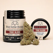 True Blood - 3.5g - Blue Collar Botany