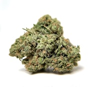 Talking Trees | Blue Dream | 3.5g