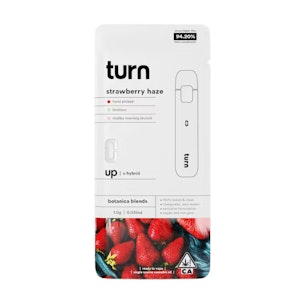 TURN - STRAWBERRY HAZE DISPOSABLE 1G - TURN
