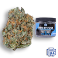Two by Four Flower | Eighth Special