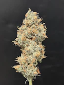 Tahiti Twist 3.5G By Choof