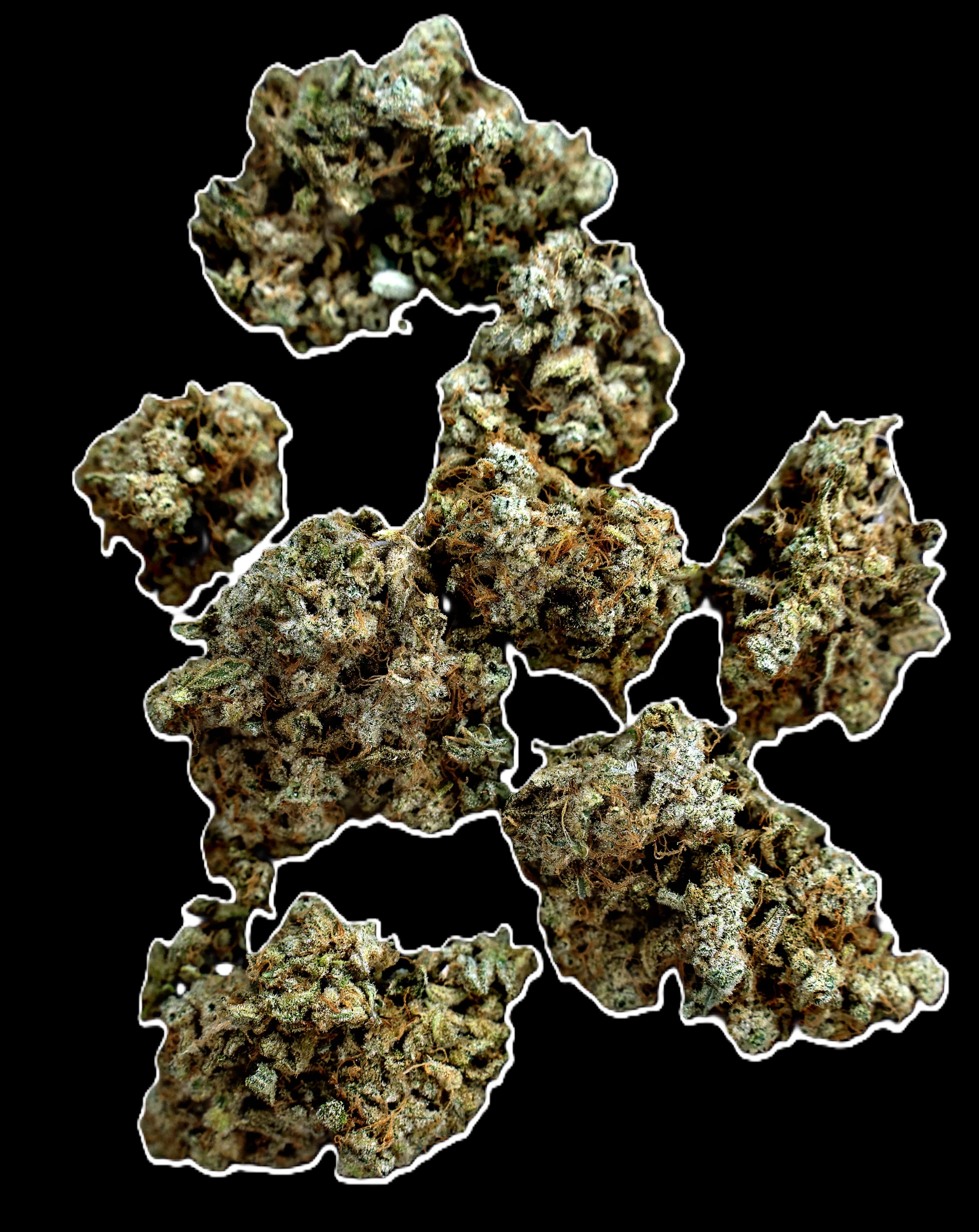 Chronicseur Farms - Tahiti Lime Buds Main Image