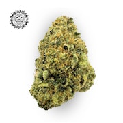 Tahitian Flight Bulk Flower - EFF! (FIRE ISLAND)