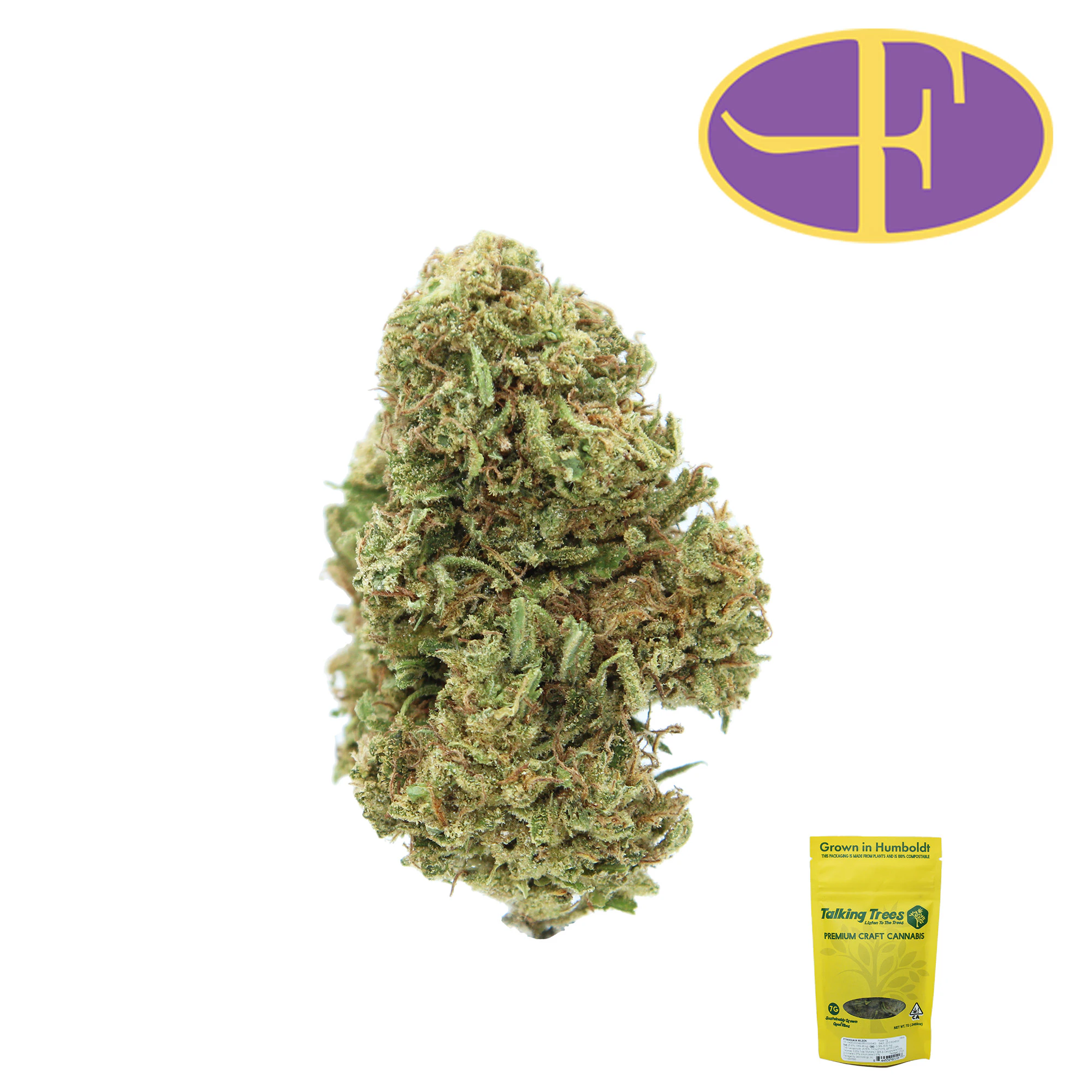 Talking Trees - Strawguava Wilson (7g) Main Image