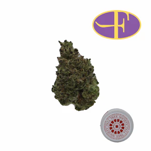 TALL TREE SOCIETY - Hash Burger