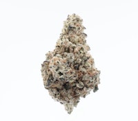 TVC | Ice Cream Cake | Bulk Flower 