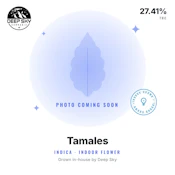 DSC - Tamalez