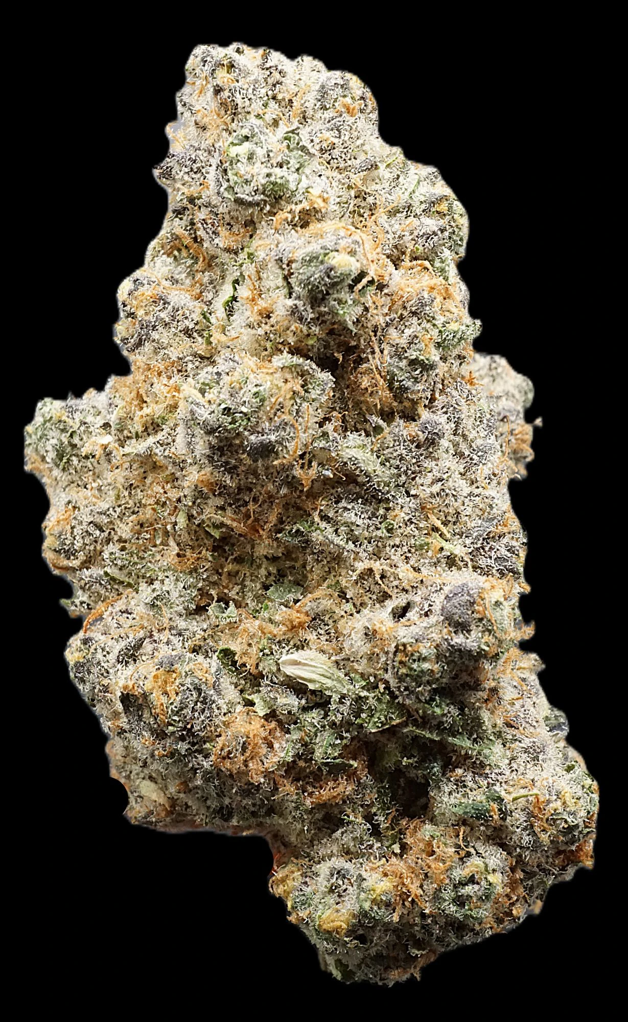 MJ Verdant - Tangerine Dream - Buds Main Image