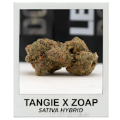 Tangie x Zoap