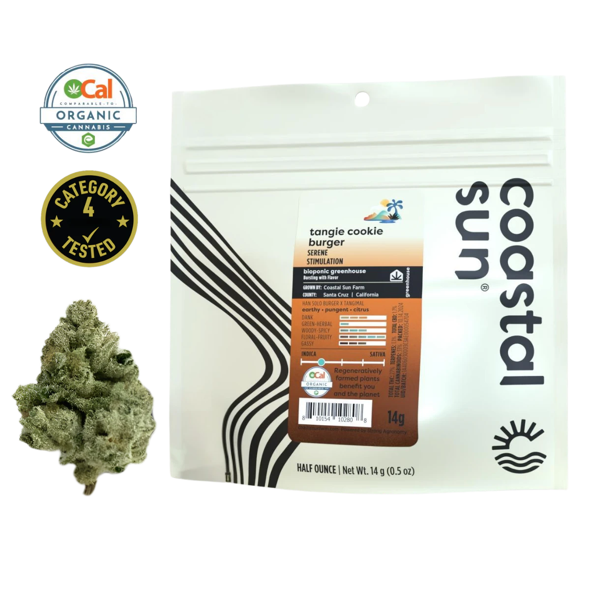 Coastal Sun - Tangie Cookie Burger (I) | 14g Mylar Greenhouse Flower | Coastal Sun Main Image