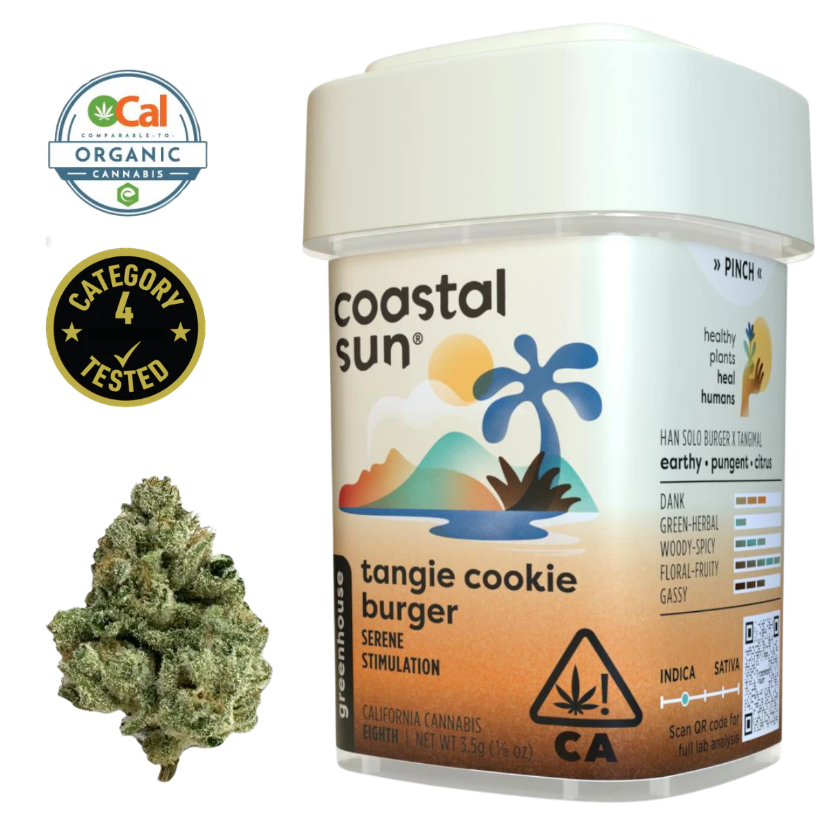 Coastal Sun - Tangie Cookie Burger (I) | 3.5g Greenhouse Flower | Coastal Sun Main Image