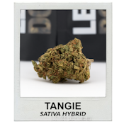 Tangie