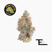 TEAM ELITE GENETICS: Dump Truck 3.5g (I)
