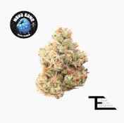 TEAM ELITE GENETICS: Nova Cane 3.5g (H)