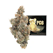 Team Elite Genetics | PGB | Pre-Pack | [3.5g] | Sativa