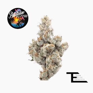 Team Elite Genetics - TEAM ELITE GENETICS: Pearadise 3.5g (S/H)