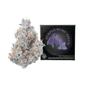 Team Elite Genetics | Purple Dump Truck | Pre-Pack | [3.5g] | Indica