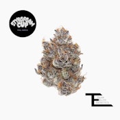 TEAM ELITE GENETICS: Styrofoam Cup 3.5g (I)